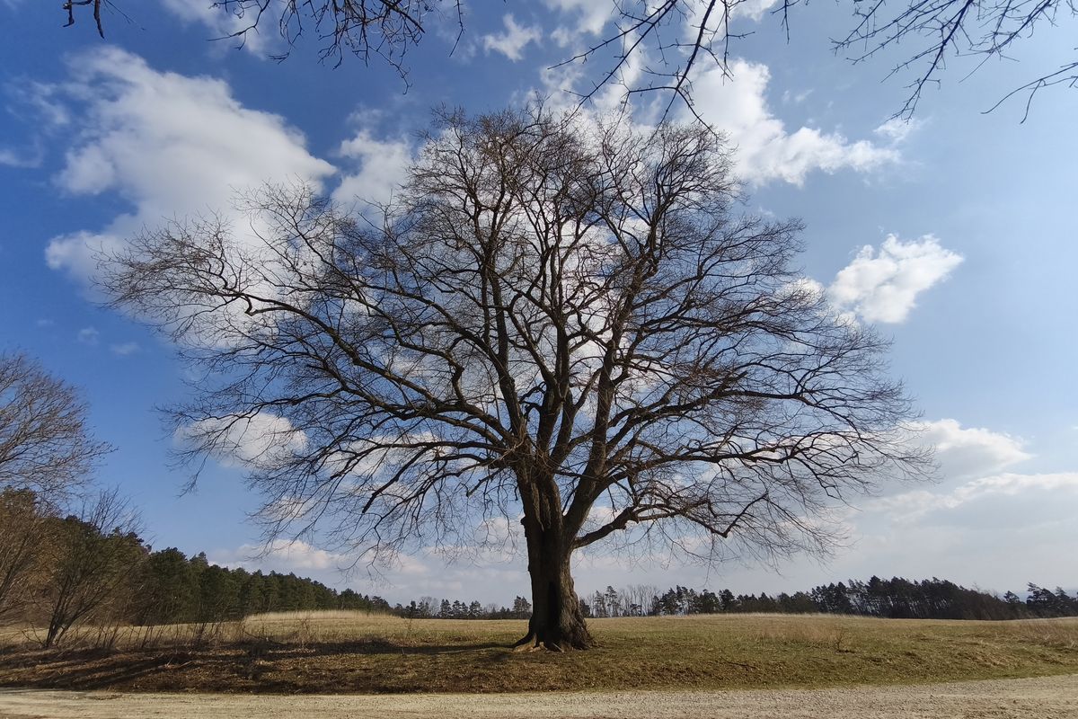 1. Etappe Saale Horizontale